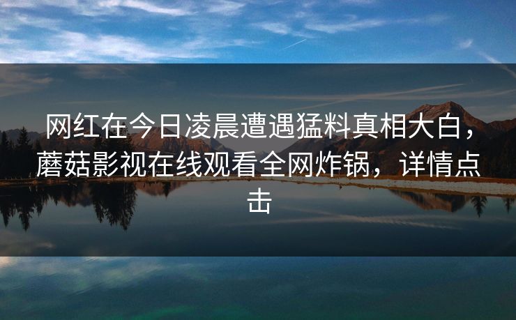 网红在今日凌晨遭遇猛料真相大白，蘑菇影视在线观看全网炸锅，详情点击